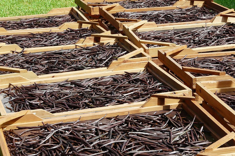 Mastering Vanilla Export: A Guide to Ensuring Quality and Compliance