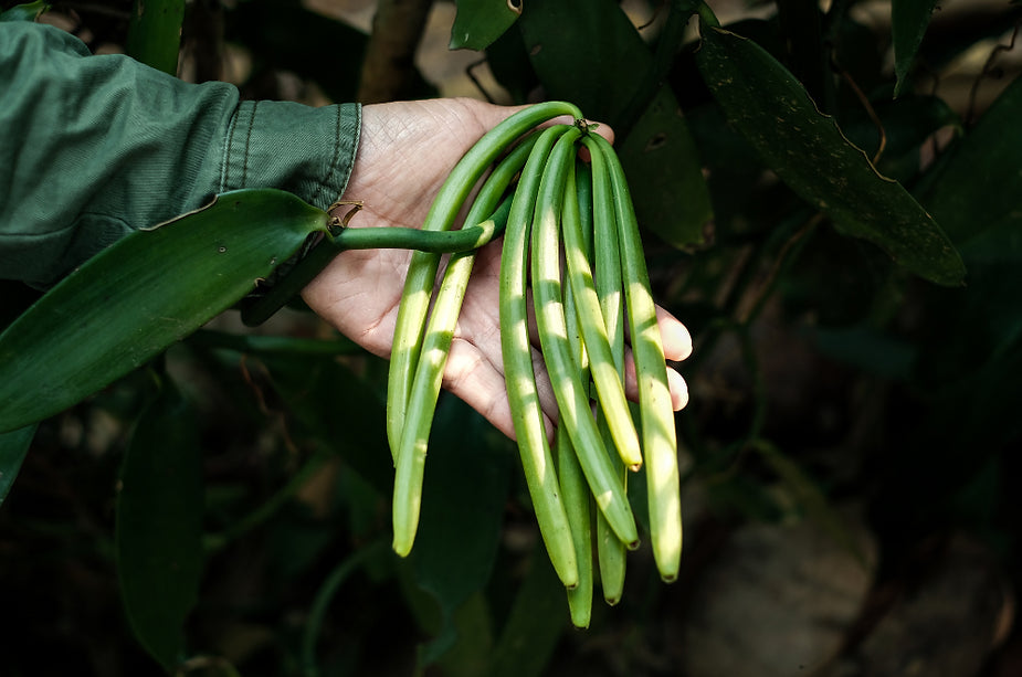 Unlock the Surprising Health Benefits of Vanilla: More Than Just a Flavor!