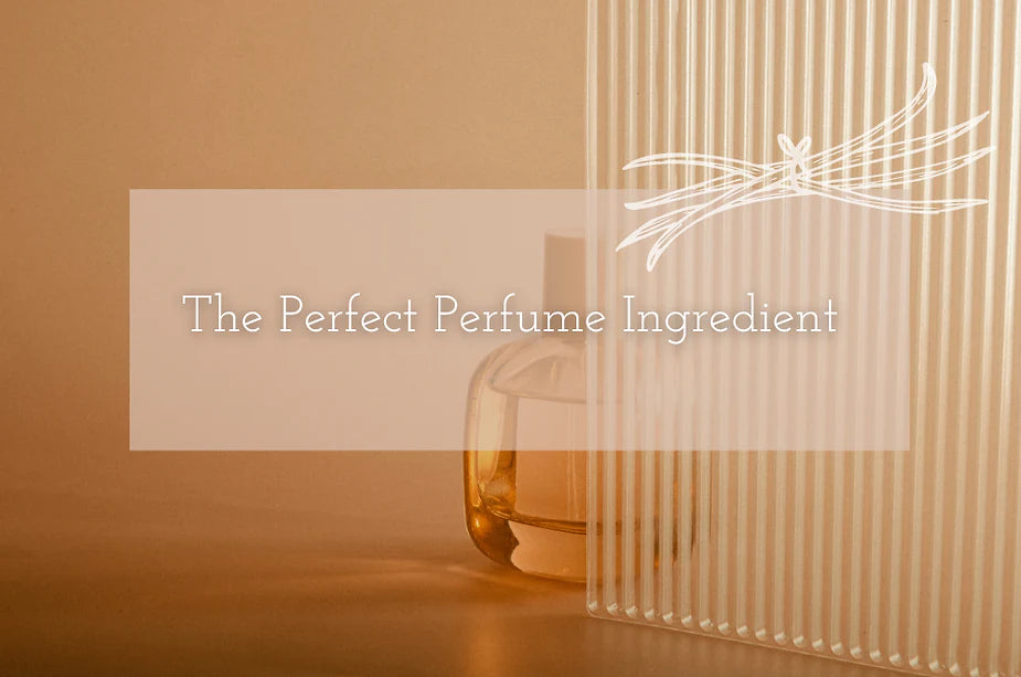 The Magic Ingredient