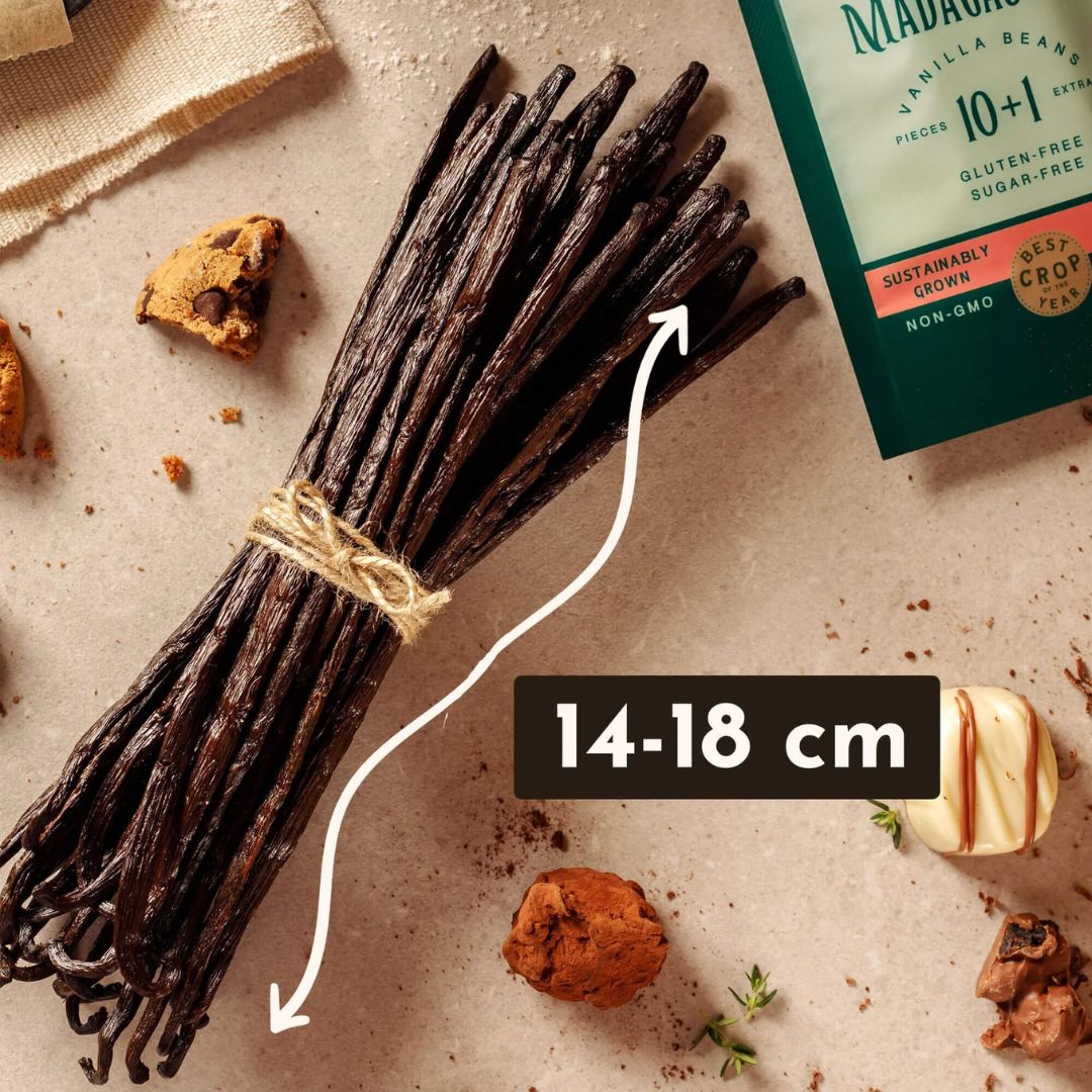 Madagascar Vanilla Beans, Grade A Bourbon Pods For Making Vanilla Extract, Good For Cooking And Baking, Rich and Intense Aroma (5.5-7.1 in)