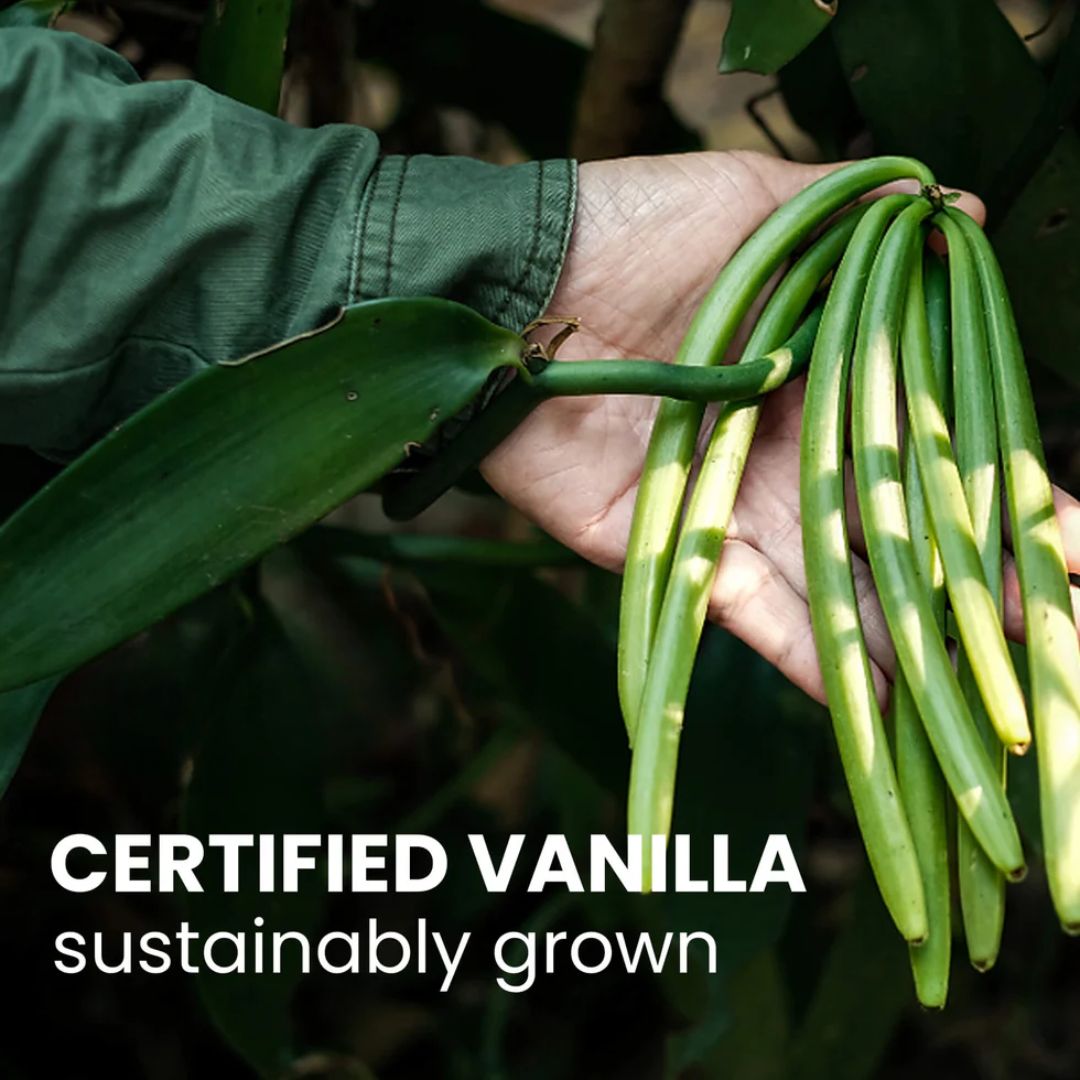 Madagascar Vanilla Beans, Grade A Bourbon Pods For Making Vanilla Extract, Good For Cooking And Baking, Rich and Intense Aroma (5.5-7.1 in)