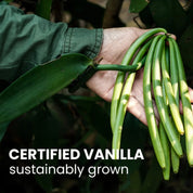 Madagascar Vanilla Beans, Grade A Bourbon Pods For Making Vanilla Extract, Good For Cooking And Baking, Rich and Intense Aroma (5.5-7.1 in)