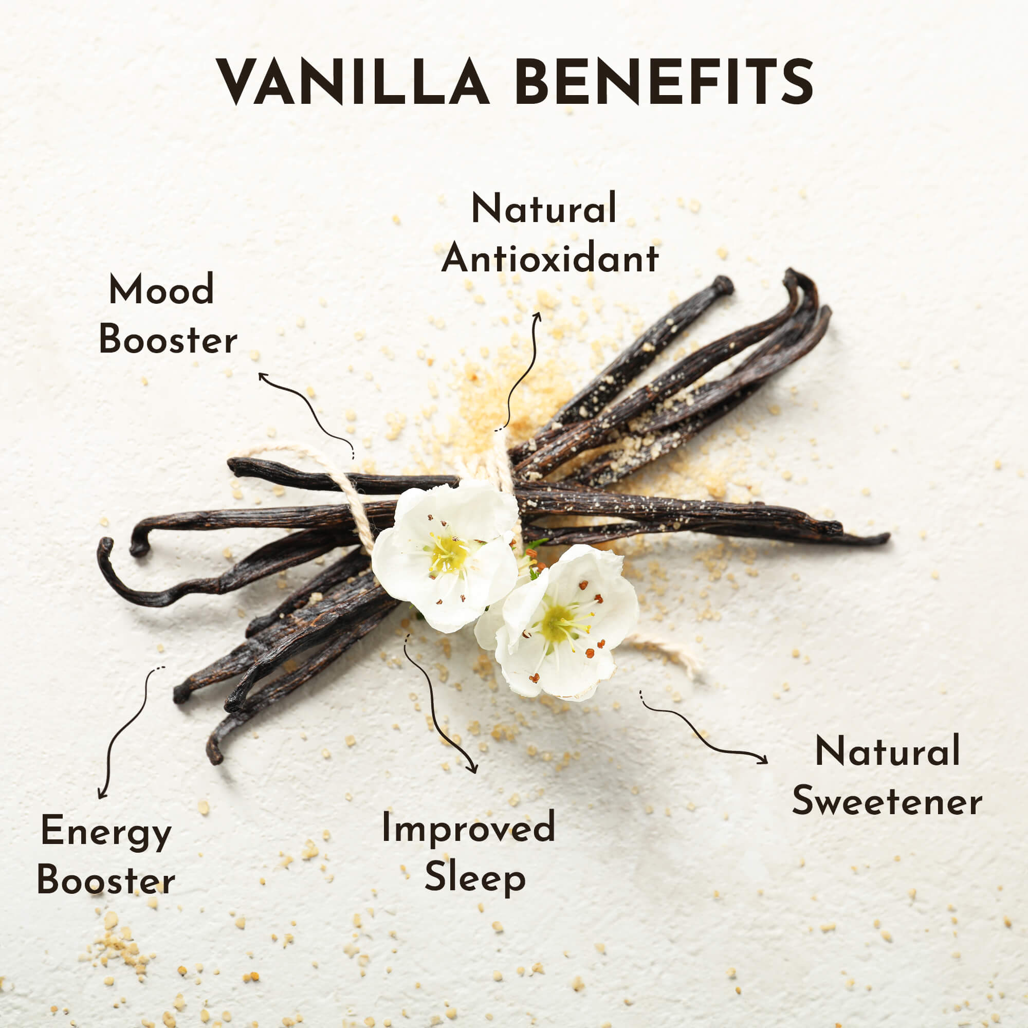 benefits_vanilla2000x2000-eng.jpg