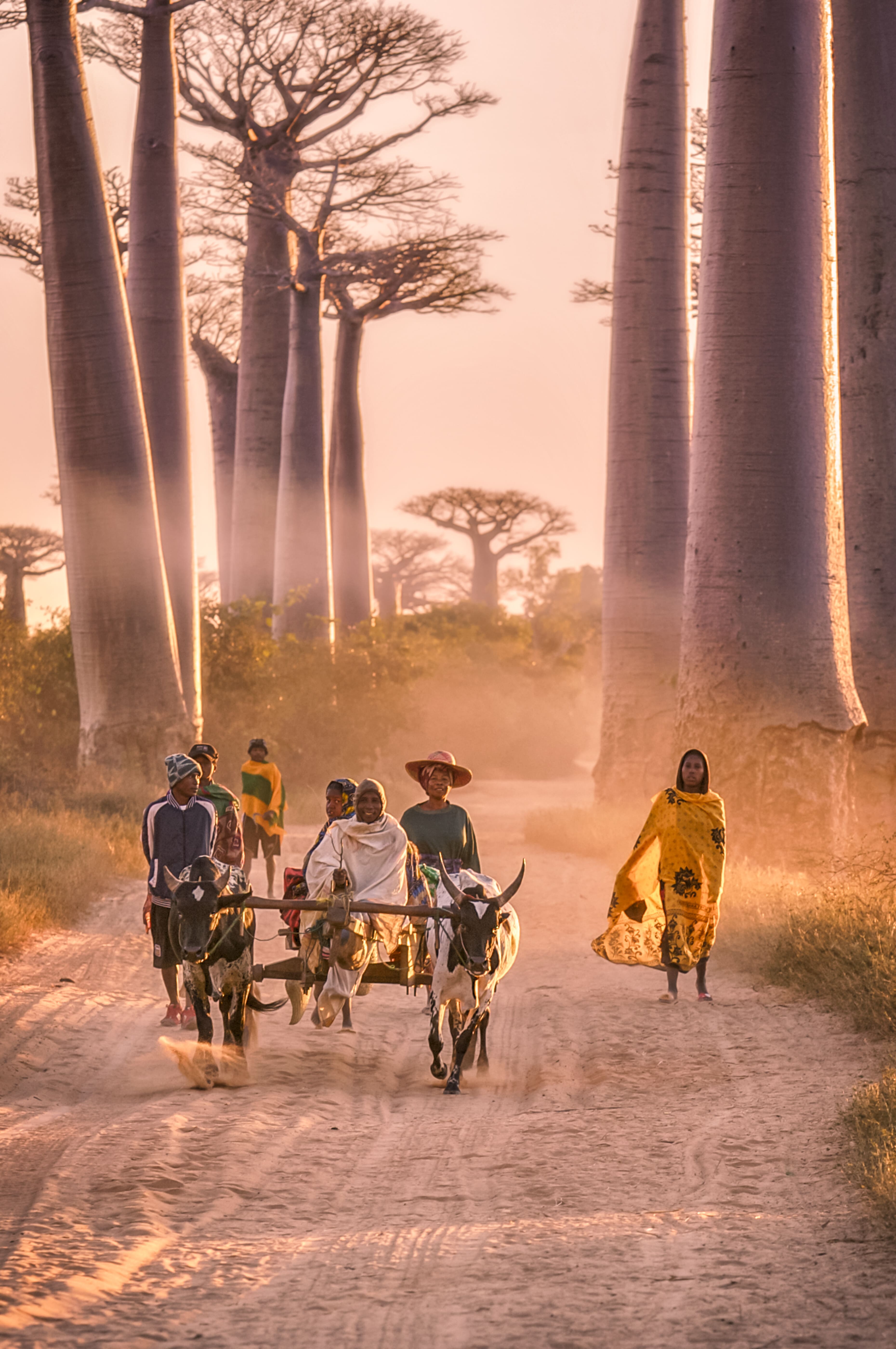 people-walking-on-a-dusty-road-at-sunset-with-tal-2024-07-06-00-25-17-utc.jpg